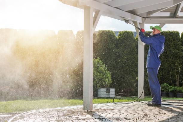 Best Soft Washing  in Chalco, NE